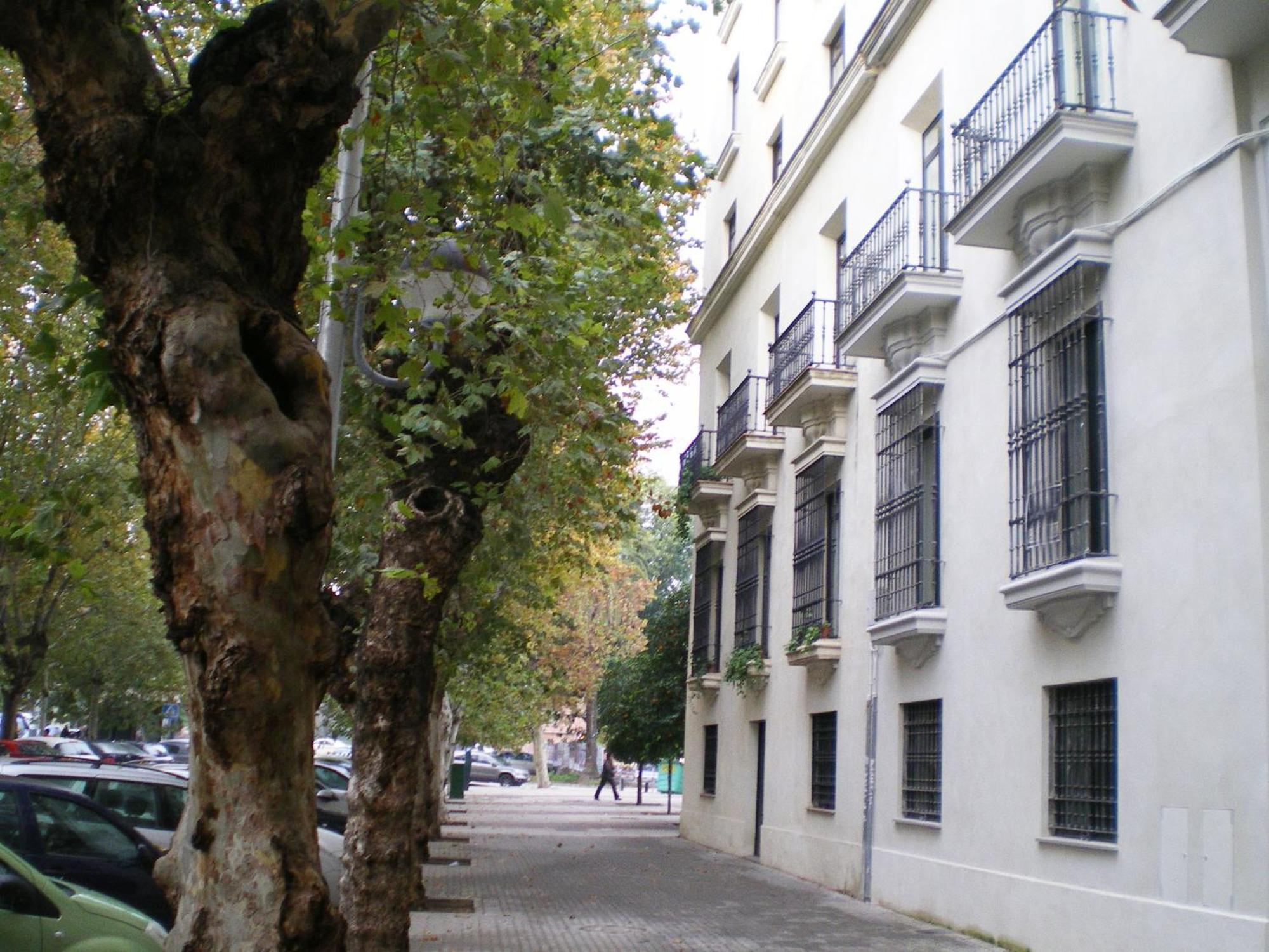 Apartamentos Murallas De Sevilla Bagian luar foto