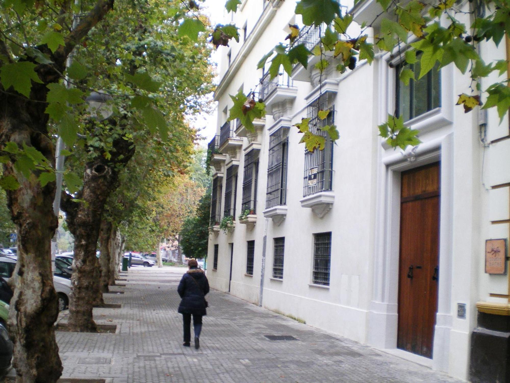 Apartamentos Murallas De Sevilla Bagian luar foto