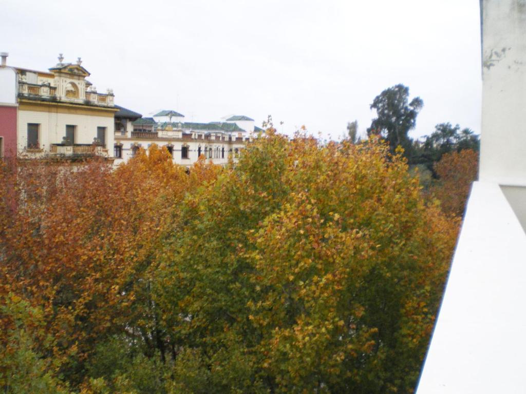 Apartamentos Murallas De Sevilla Bagian luar foto